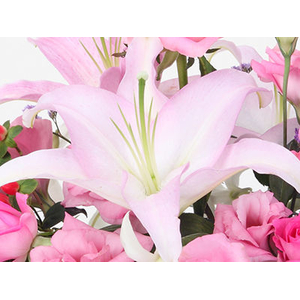 Japan Flower Shop Delivery