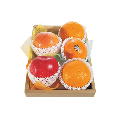 Fruit Basket Delivery Japan