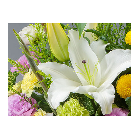 Japan Flower Shop Delivery