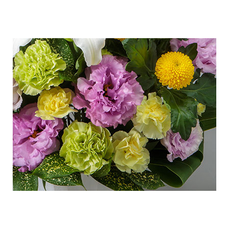 flora japan