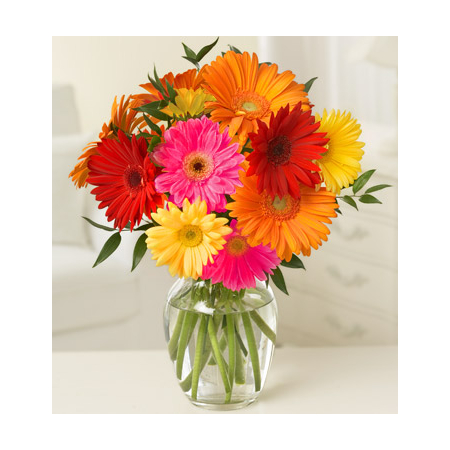 10 Mix Daisies & Gerberas Japan